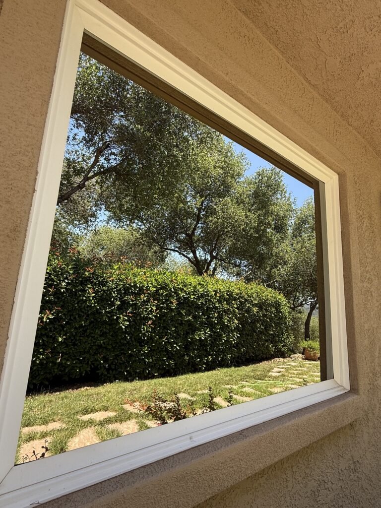 The view through freshly cleaned glass